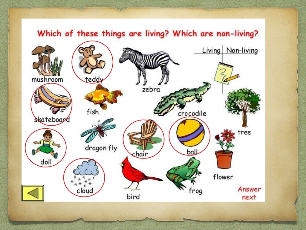 2-science-living-nonliving-part-1