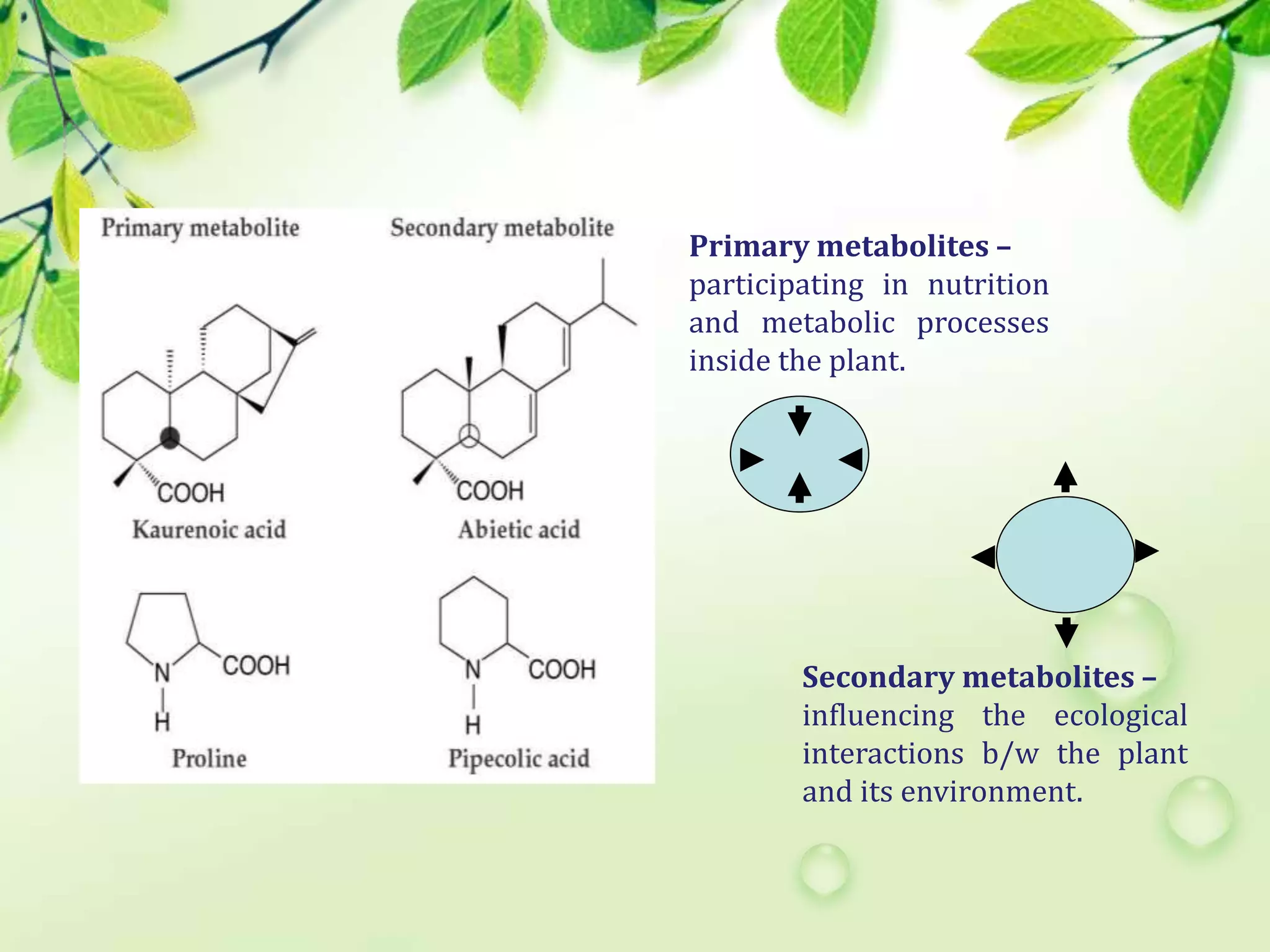 secondary metabolites of plant by K. K. SAHU Sir | PPT