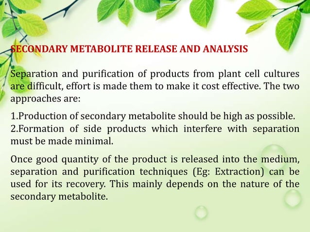 secondary metabolites of plant by K. K. SAHU Sir | PPT | Chemistry ...