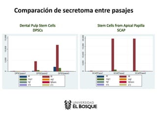 Comparación de secretoma entre pasajes
Dental Pulp Stem Cells
DPSCs
Stem Cells from Apical Papilla
SCAP
 
