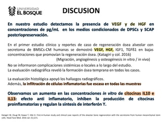 DISCUSION
En nuestro estudio detectamos la presencia de VEGF y de HGF en
concentraciones de pg/mL en los medios condicionados de DPSCs y SCAP
postcriopreservación.
Katagiri W, Osugi M, Kawai T, Hibi H. First-in-human study and clinical case reports of the alveolar bone regeneration with the secretome from human mesenchymal stem
cells. Head Face Med. 2016 Jan 15;12:5.
En el primer estudio clínico y reportes de caso de regeneración ósea alveolar con
secretoma de BMSCs-CM humanas se demostró VEGF, HGF, IGF1, TGFß1 en bajas
concentraciones que promovían la regeneración ósea. (Katagiri y col. 2016)
(Migración, angiogénesis y osteogénesis in vitro / in vivo)
No se informaron complicaciones sistémicas o locales a lo largo del estudio.
La evaluación radiográfica reveló la formación ósea temprana en todos los casos.
La evaluación histológica apoyó los hallazgos radiográficos.
Además, la infiltración de células inflamatorias fue escasa en todas las muestras.
Observamos un aumento en las concentraciones in vitro de citocinas IL10 e
IL13: efecto anti inflamatorio, inhiben la producción de citocinas
proinflamatorias y regulan la síntesis de interferón ϒ.
 