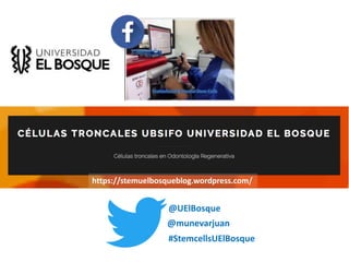 @munevarjuan
https://stemuelbosqueblog.wordpress.com/
#StemcellsUElBosque
@UElBosque
 