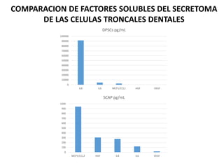 0
10000
20000
30000
40000
50000
60000
70000
80000
90000
100000
IL8 IL6 MCP1/CCL2 HGF VEGF
DPSCs pg/mL
0
100
200
300
400
500
600
700
800
900
1000
MCP1/CCL2 HGF IL8 IL6 VEGF
SCAP pg/mL
COMPARACION DE FACTORES SOLUBLES DEL SECRETOMA
DE LAS CELULAS TRONCALES DENTALES
 