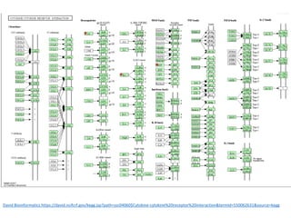 David Bioinformatics https://david.ncifcrf.gov/kegg.jsp?path=ssc04060$Cytokine-cytokine%20receptor%20interaction&termId=550062631&source=kegg
 