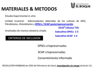 MATERIALES & METODOS
Estudio Experimental in vitro
Unidad muestral: Sobrenadantes obtenidos de los cultivos de MSC,
Fibroblastos, Osteoblastos y DPSCs / SCAP postcriopreservación
Analizados de manera aleatoria simple.
CRITERIOS DE INCLUSION
DPSCs criopreservadas
RESOLUCIÓN Nº008430 de 1993 del Ministerio de Salud. Investigación sin riesgo (artículo 11)
SCAP criopreservadas
5X105 Células/ T25
Consentimiento informado
Subcultivo DPSCs 1-5
Subcultivo SCAP 1-3
 