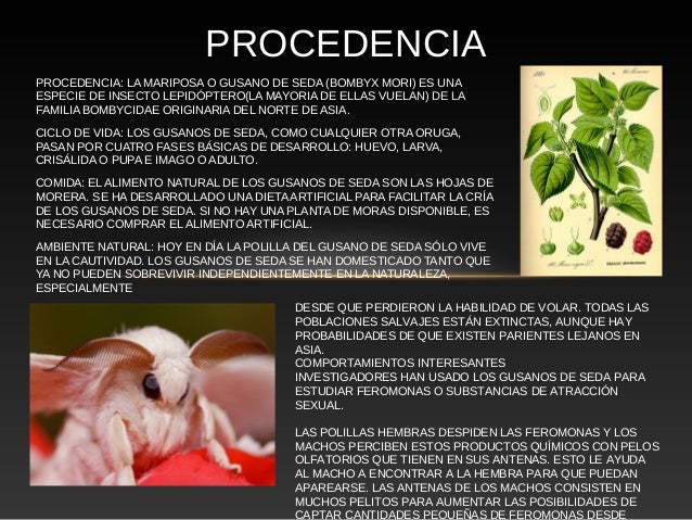 El medio de las lombrices a los niños hasta 3 años