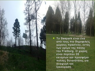 Πράσινες φωτογραφίες από το
          See park


                  Το Seepa rk είναι ένα
                   από τους πιο δημοφιλείς
                   χώρους πρασίνου, εντός
                   των ορίων της πόλης
                   του Freiburg. Ο χώρος
                   είναι περίπου 35
                   εκταρίων και προσφέρει
                   πολλές δυνατότητες για
                   αναψυχή και
                   ξεκούραση.
 
