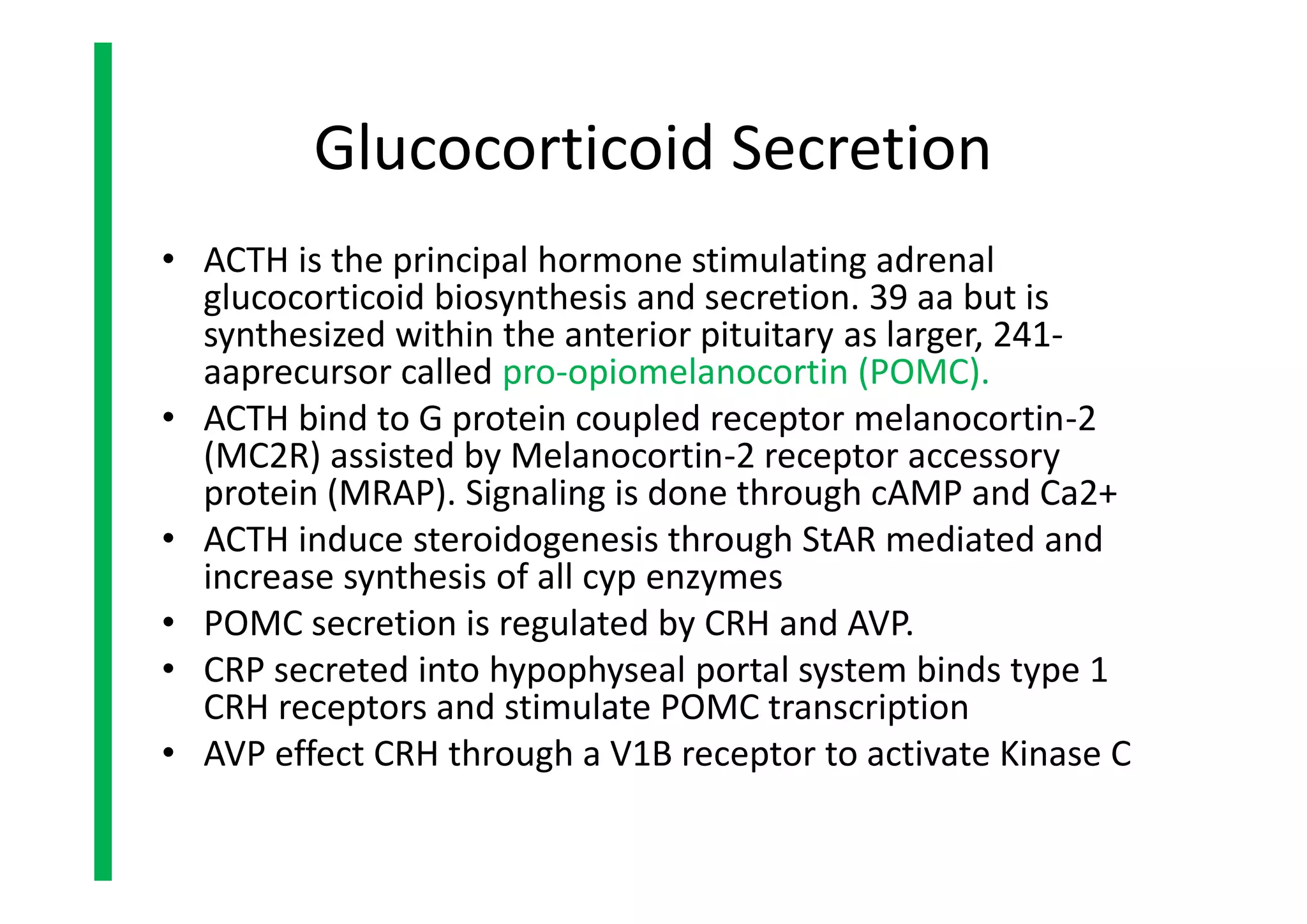 Glucocorticoid Secretion
• ACTH is the principal hormone stimulating adrenal
glucocorticoid biosynthesis and secretion. 39 aa but is
synthesized within the anterior pituitary as larger, 241-
aaprecursor called pro-opiomelanocortin (POMC).
• ACTH bind to G protein coupled receptor melanocortin-2
(MC2R) assisted by Melanocortin-2 receptor accessory
protein (MRAP). Signaling is done through cAMP and Ca2+
• ACTH induce steroidogenesis through StAR mediated and
increase synthesis of all cyp enzymes
• POMC secretion is regulated by CRH and AVP.
• CRP secreted into hypophyseal portal system binds type 1
CRH receptors and stimulate POMC transcription
• AVP effect CRH through a V1B receptor to activate Kinase C
• ACTH is the principal hormone stimulating adrenal
glucocorticoid biosynthesis and secretion. 39 aa but is
synthesized within the anterior pituitary as larger, 241-
aaprecursor called pro-opiomelanocortin (POMC).
• ACTH bind to G protein coupled receptor melanocortin-2
(MC2R) assisted by Melanocortin-2 receptor accessory
protein (MRAP). Signaling is done through cAMP and Ca2+
• ACTH induce steroidogenesis through StAR mediated and
increase synthesis of all cyp enzymes
• POMC secretion is regulated by CRH and AVP.
• CRP secreted into hypophyseal portal system binds type 1
CRH receptors and stimulate POMC transcription
• AVP effect CRH through a V1B receptor to activate Kinase C
 