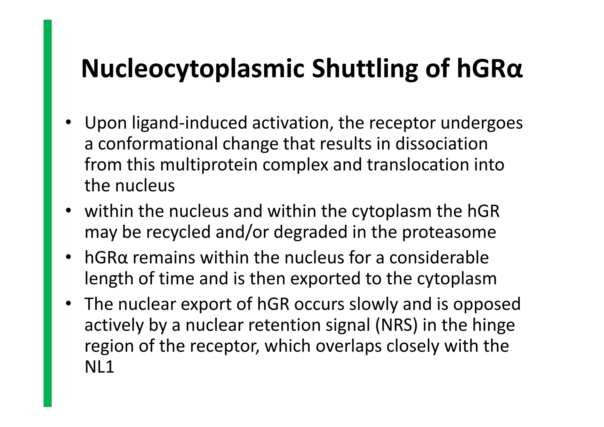 Nucleocytoplasmic Shuttling of hGRα
• Upon ligand-induced activation, the receptor undergoes
a conformational change that results in dissociation
from this multiprotein complex and translocation into
the nucleus
• within the nucleus and within the cytoplasm the hGR
may be recycled and/or degraded in the proteasome
• hGRα remains within the nucleus for a considerable
length of time and is then exported to the cytoplasm
• The nuclear export of hGR occurs slowly and is opposed
actively by a nuclear retention signal (NRS) in the hinge
region of the receptor, which overlaps closely with the
NL1
• Upon ligand-induced activation, the receptor undergoes
a conformational change that results in dissociation
from this multiprotein complex and translocation into
the nucleus
• within the nucleus and within the cytoplasm the hGR
may be recycled and/or degraded in the proteasome
• hGRα remains within the nucleus for a considerable
length of time and is then exported to the cytoplasm
• The nuclear export of hGR occurs slowly and is opposed
actively by a nuclear retention signal (NRS) in the hinge
region of the receptor, which overlaps closely with the
NL1
 