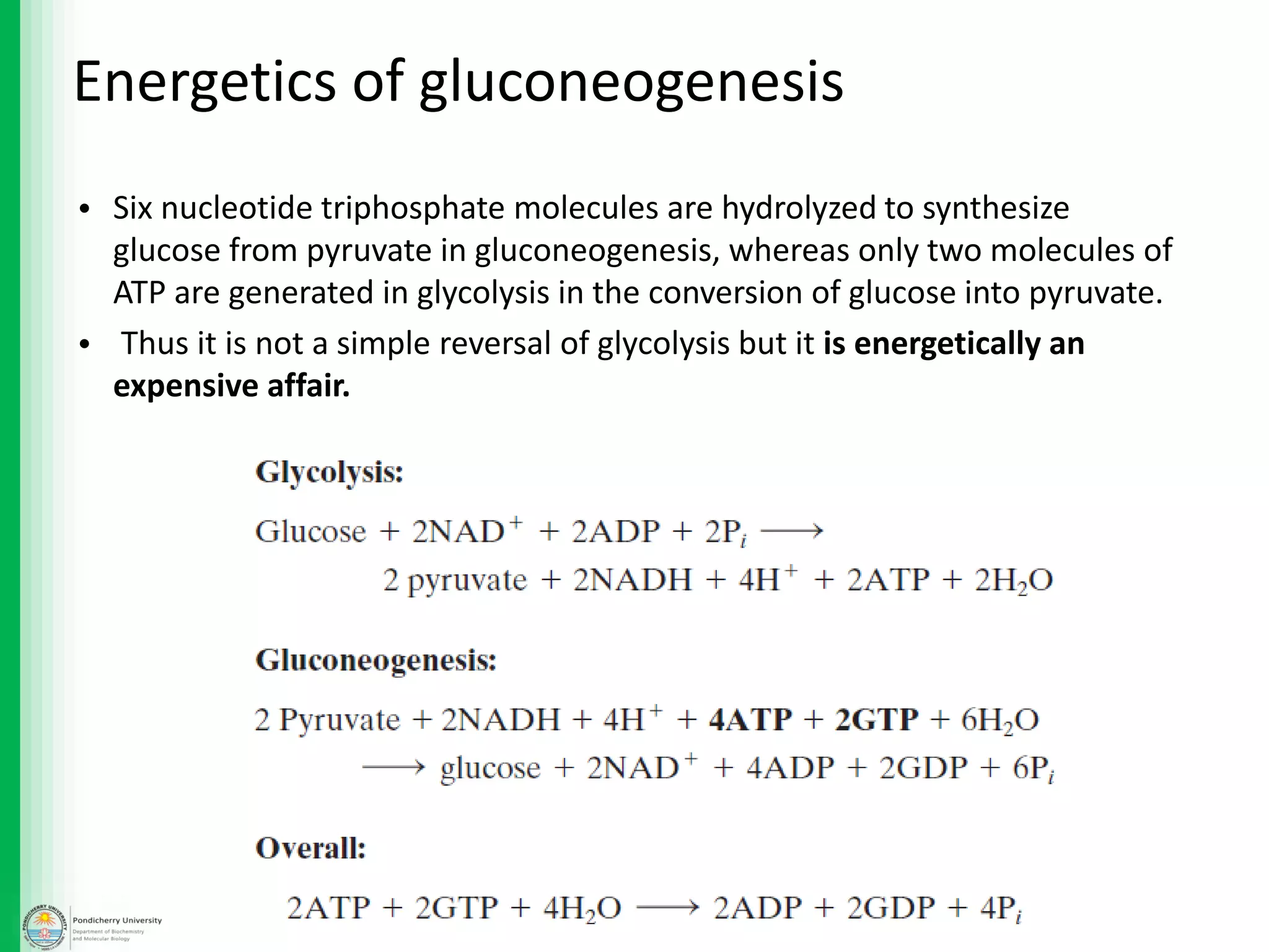 Energetics of gluconeogenesis
• Six nucleotide triphosphate molecules are hydrolyzed to synthesize
glucose from pyruvate in gluconeogenesis, whereas only two molecules of
ATP are generated in glycolysis in the conversion of glucose into pyruvate.
• Thus it is not a simple reversal of glycolysis but it is energetically an
expensive affair.
 