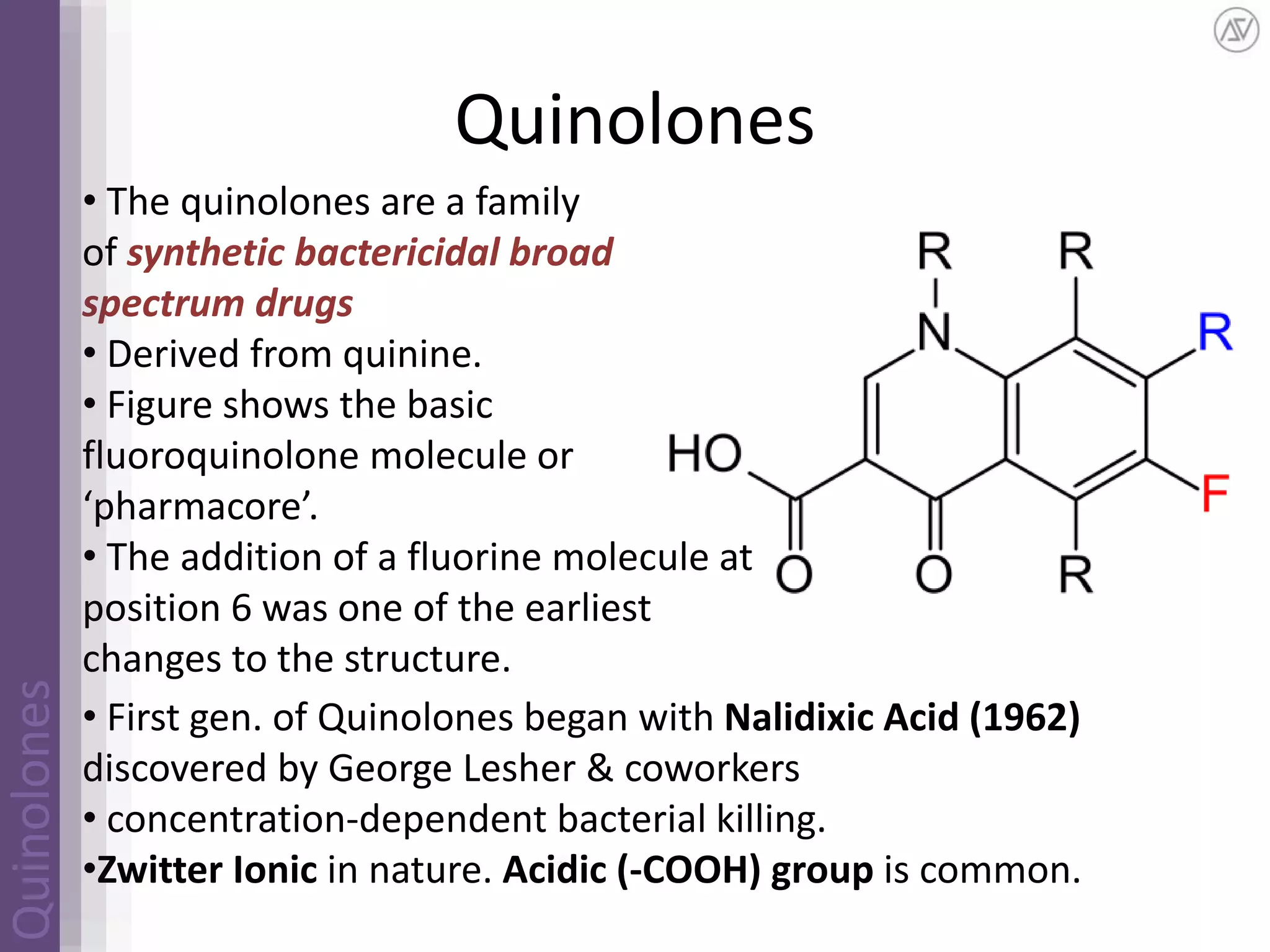 Quinolones | drug develoupment | mechanism of action | future | PPSX