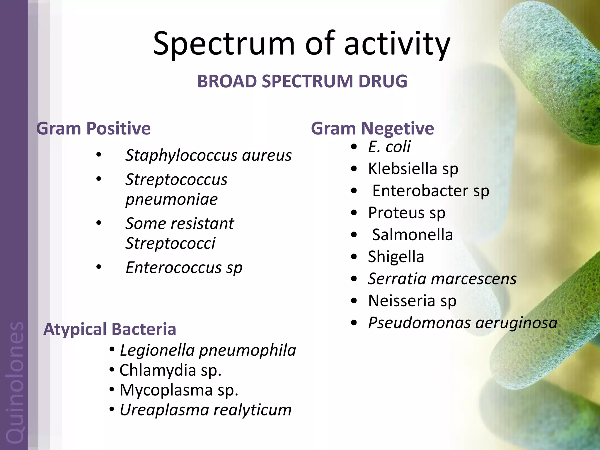Quinolones | drug develoupment | mechanism of action | future | PPSX