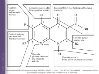 Quinolones | drug develoupment | mechanism of action | future | PPSX