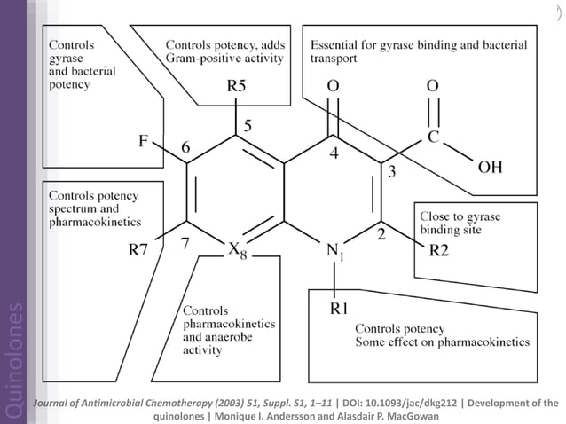 Quinolones | drug develoupment | mechanism of action | future | PPT ...