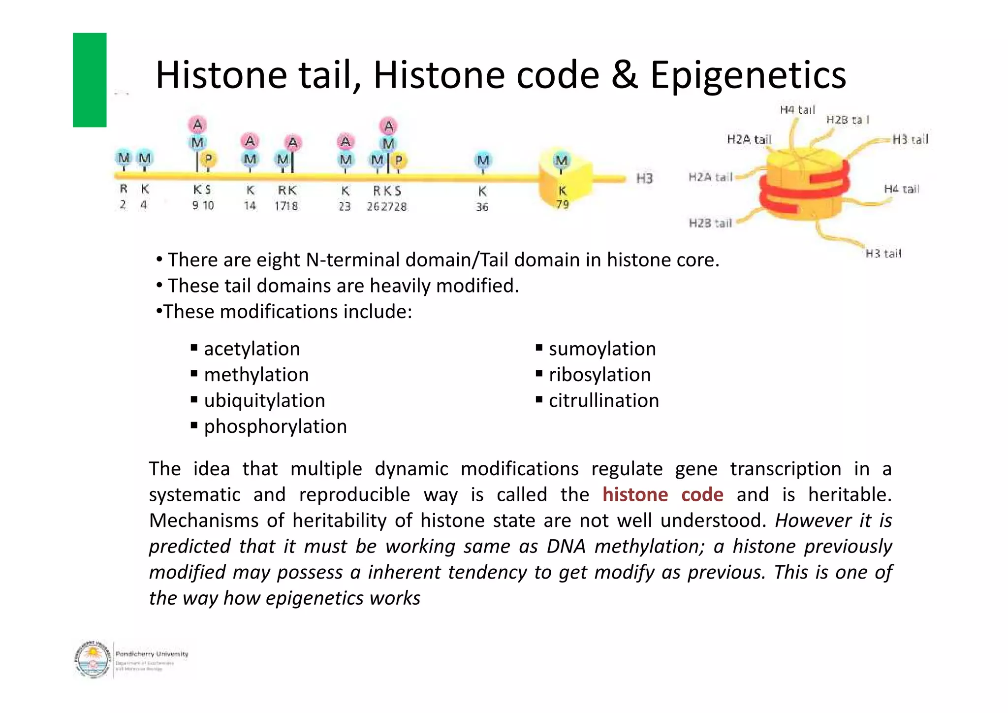 Genome organisation | PDF