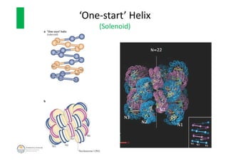 ‘One-start’ Helix
(Solenoid)
 