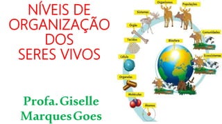 NÍVEIS DE
ORGANIZAÇÃO
DOS
SERES VIVOS
Profa.Giselle
MarquesGoes
 