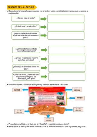  Después de la lectura lee por segunda vez el texto y luego completa la información que se solicita a
continuación
 Indicamos volver a observar la infografía y pedimos señalar sus secciones.
 Preguntamos: ¿Cuál es el título de la infografía? ¿cuántas secciones tiene?
 Retornamos al texto y ubicamos información en el texto respondiendo a las siguientes preguntas:
DESPUÉS DE LA LECTURA
¿Aproximadamente Cuántas
especies animales tiene nuestro
país?
¿Cómo está representada
nuestra fauna peruana?
¿De qué trata el texto?
¿Qué dice de los animales?
¿En qué regiones de nuestro
país hay animales?
¿Qué tipo de animales tienen mi
país?
A partir del texto ¿crees que será
importante proteger a los
animales?,¿Por qué?
 