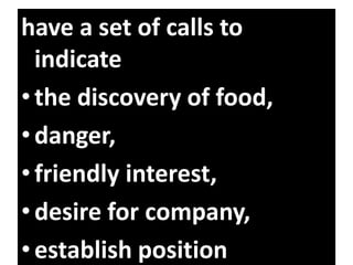 have a set of calls to
indicate
•the discovery of food,
•danger,
•friendly interest,
•desire for company,
•establish position
 