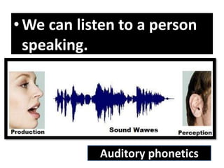 •We can listen to a person
speaking.
Auditory phonetics
 