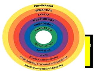 Nearly all linguists have, explicitly or
implicitly, accepted a linguistic model in
which semantics is at one 'end' and
phonetics at the other, with grammar
somewhere in the middle
(though not necessarily that
there are just these three
levels).
 