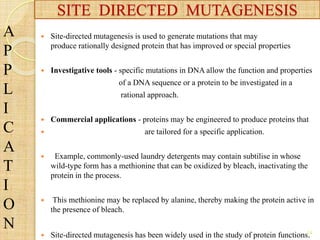  Site-directed mutagenesis is used to generate mutations that may
produce rationally designed protein that has improved or special properties
 Investigative tools - specific mutations in DNA allow the function and properties
of a DNA sequence or a protein to be investigated in a
rational approach.
 Commercial applications - proteins may be engineered to produce proteins that
 are tailored for a specific application.
 Example, commonly-used laundry detergents may contain subtilise in whose
wild-type form has a methionine that can be oxidized by bleach, inactivating the
protein in the process.
 This methionine may be replaced by alanine, thereby making the protein active in
the presence of bleach.
 Site-directed mutagenesis has been widely used in the study of protein functions.
A
P
P
L
I
C
A
T
I
O
N
SITE DIRECTED MUTAGENESIS
14
 