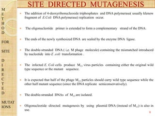  The addition of 4-deoxyribonucleoside triphosphates and DNA polymerase( usually klenow
fragment of E.Coli DNA polymerase) replication occur.
 The oligonucleotide primer is extended to form a complementary strand of the DNA.
 The ends of the newly synthesized DNA are sealed by the enzyme DNA ligase.
 The double-stranded DNA ( i,e. M phage molecule) containing the mismatched introduced
by nucleotide into E .coli transformation .
 The infected E. Coli cells produce M13 virus particles containing either the original wild
type sequence or the mutant sequence.
 It is expected that half of the phage M13 particles should carry wild type sequence while the
other half mutant sequence (since the DNA replicate semiconservatively).
 The double-stranded DNAs of M13 are isolated.
 Oligonucleotide -directed mutagenesis by using plasmid DNA (instead of M13) is also in
use.
SITE DIRECTED MUTAGENESIS
M
E
T
H
O
D
FOR
SITE
D
I
R
E
C
T
E
D
MUTAT
IONS
9
 
