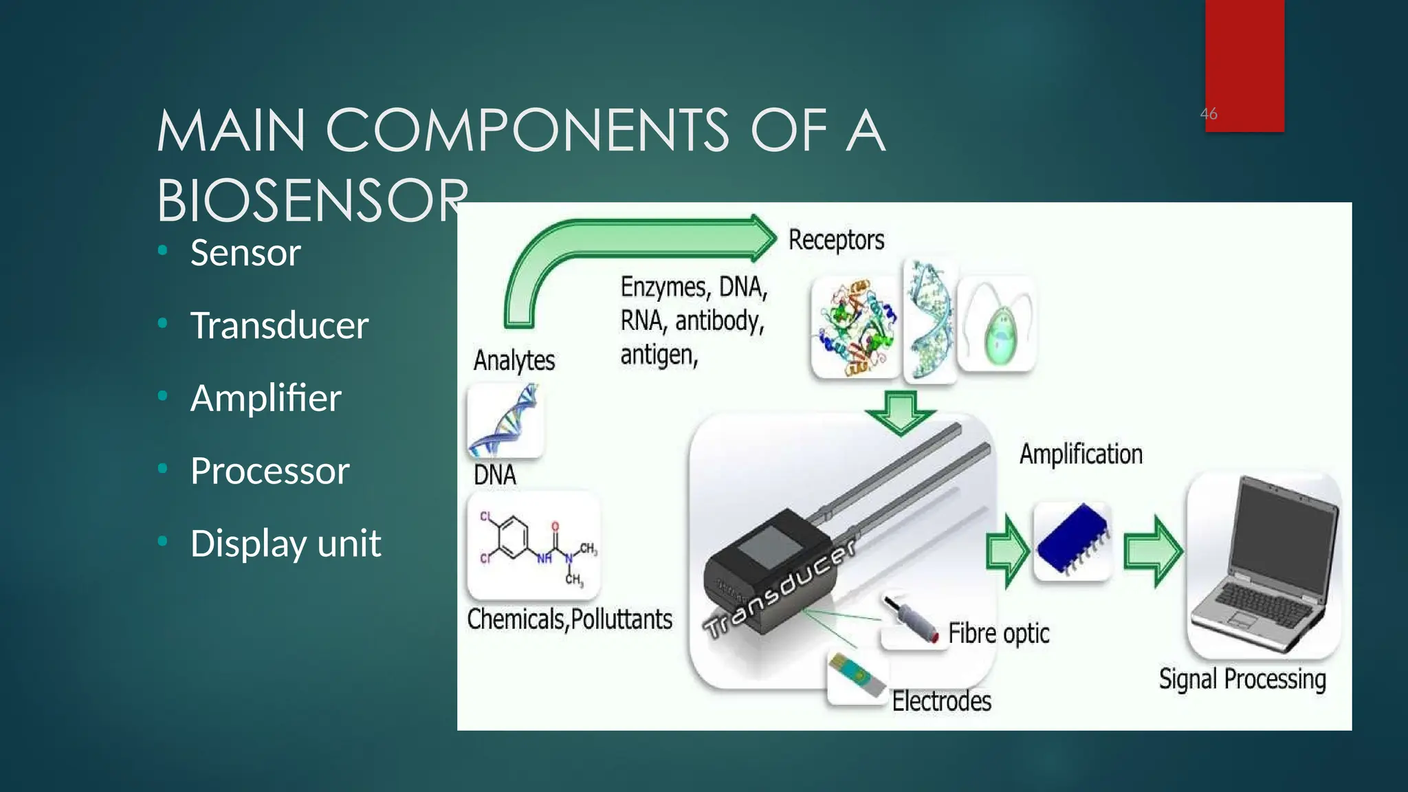 MAIN COMPONENTS OF A
BIOSENSOR
46
• Sensor
• Transducer
• Amplifier
• Processor
• Display unit
 