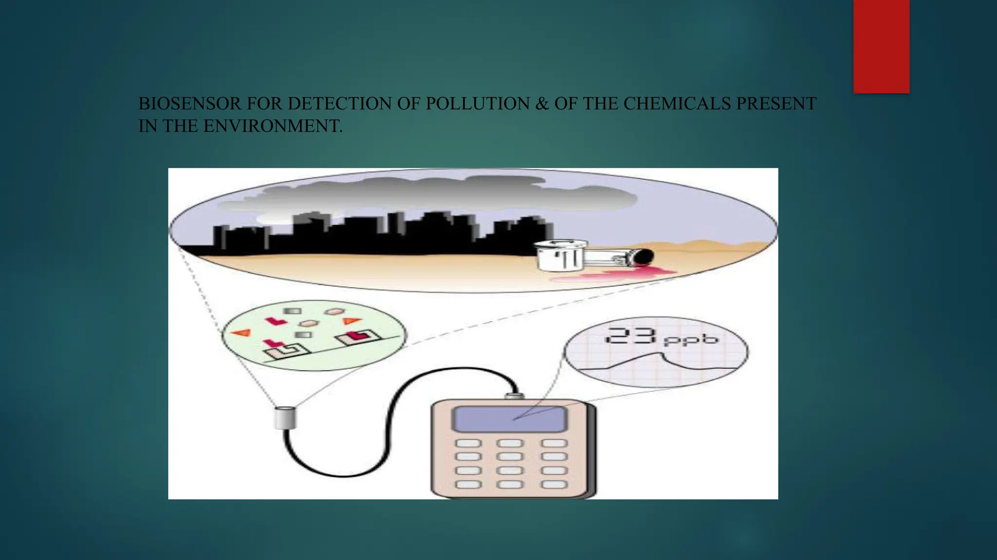 BIOSENSOR FOR DETECTION OF POLLUTION & OF THE CHEMICALS PRESENT
IN THE ENVIRONMENT.
 