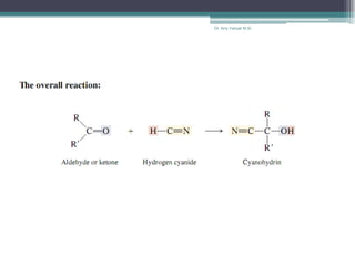 Dr. Arry Yanuar M.Si.
 