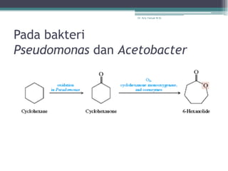 Dr. Arry Yanuar M.Si.




Pada bakteri
Pseudomonas dan Acetobacter
 