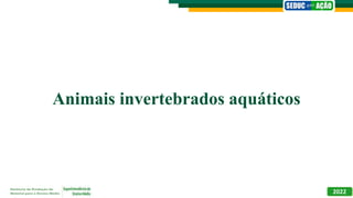 Animais invertebrados aquáticos
2022
 