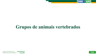 Grupos de animais vertebrados
2022
 