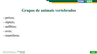 Grupos de animais vertebrados
- peixes;
- répteis;
- anfíbios;
- aves;
- mamíferos.
2022
 