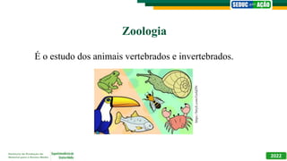 Zoologia
É o estudo dos animais vertebrados e invertebrados.
2022
https://bityli.com/GsfaDN
 