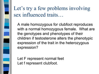 Let’s try a few problems involving
sex influenced traits…
A male homozygous for clubfoot reproduces
with a normal homozygo...