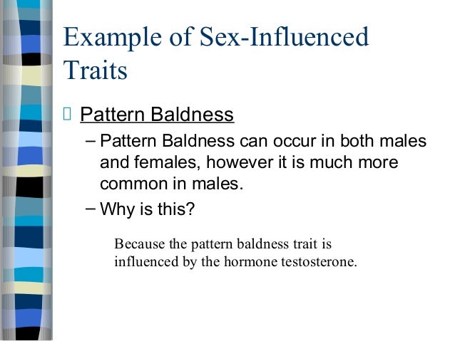 Sex Trait 41