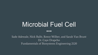 Microbial Fuel Cell
Sade Adewale, Nick Balfe, Reece Wilber, and Sarah Van Brunt
Dr. Caye Drapcho
Fundamentals of Biosystems Engineering 2120
 