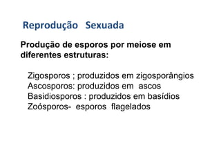 Reprodução   Sexuada
Produção de esporos por meiose em
diferentes estruturas:
Zigosporos ; produzidos em zigosporângios
Ascosporos: produzidos em ascos
Basidiosporos : produzidos em basídios
Zoósporos- esporos flagelados
 