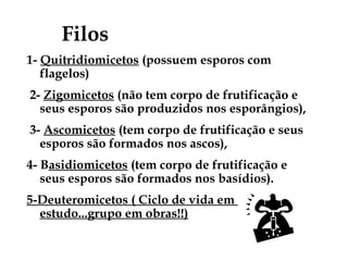 Filos
1- Quitridiomicetos (possuem esporos com
flagelos)
2- Zigomicetos (não tem corpo de frutificação e
seus esporos são produzidos nos esporângios),
3- Ascomicetos (tem corpo de frutificação e seus
esporos são formados nos ascos),
4- Basidiomicetos (tem corpo de frutificação e
seus esporos são formados nos basídios).
5-Deuteromicetos ( Ciclo de vida em
estudo...grupo em obras!!)
 