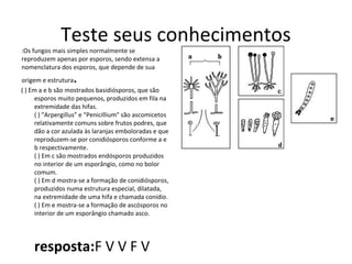 Teste seus conhecimentos
:Os fungos mais simples normalmente se
reproduzem apenas por esporos, sendo extensa a
nomenclatura dos esporos, que depende de sua
origem e estrutura.
( ) Em a e b são mostrados basidiósporos, que são
esporos muito pequenos, produzidos em fila na
extremidade das hifas.
( ) "Arpergillus" e "Penicillium" são ascomicetos
relativamente comuns sobre frutos podres, que
dão a cor azulada às laranjas emboloradas e que
reproduzem-se por conidiósporos conforme a e
b respectivamente.
( ) Em c são mostrados endósporos produzidos
no interior de um esporângio, como no bolor
comum.
( ) Em d mostra-se a formação de conidiósporos,
produzidos numa estrutura especial, dilatada,
na extremidade de uma hifa e chamada conídio.
( ) Em e mostra-se a formação de ascósporos no
interior de um esporângio chamado asco.
resposta:F V V F V
 