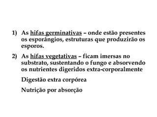 1) As hifas germinativas – onde estão presentes
os esporângios, estruturas que produzirão os
esporos.
2) As hifas vegetativas – ficam imersas no
substrato, sustentando o fungo e absorvendo
os nutrientes digeridos extra-corporalmente
Digestão extra corpórea
Nutrição por absorção
No corpo do fungo podemos diferenciar
 