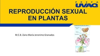 REPRODUCCIÓN SEXUAL
EN PLANTAS
M.C.B. Zaira María Jeronimo Granados
 