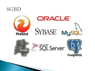 SGBD
 