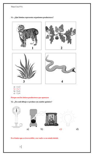 Thais Cruz 8°A

11.- ¿Qué lámina representa organismos productores?

2

1

a) 1 y 2
a)
b)
b)
c)

4

3

1y2
2y3
3y4
1y4

Porque son los únicos productores que aparecen
12.- ¿En cuál dibujo se produce un cambio químico?

a)

b)

Es el único que es irreversible y no vuelve a su estado inicial.

3

c)

d)

 