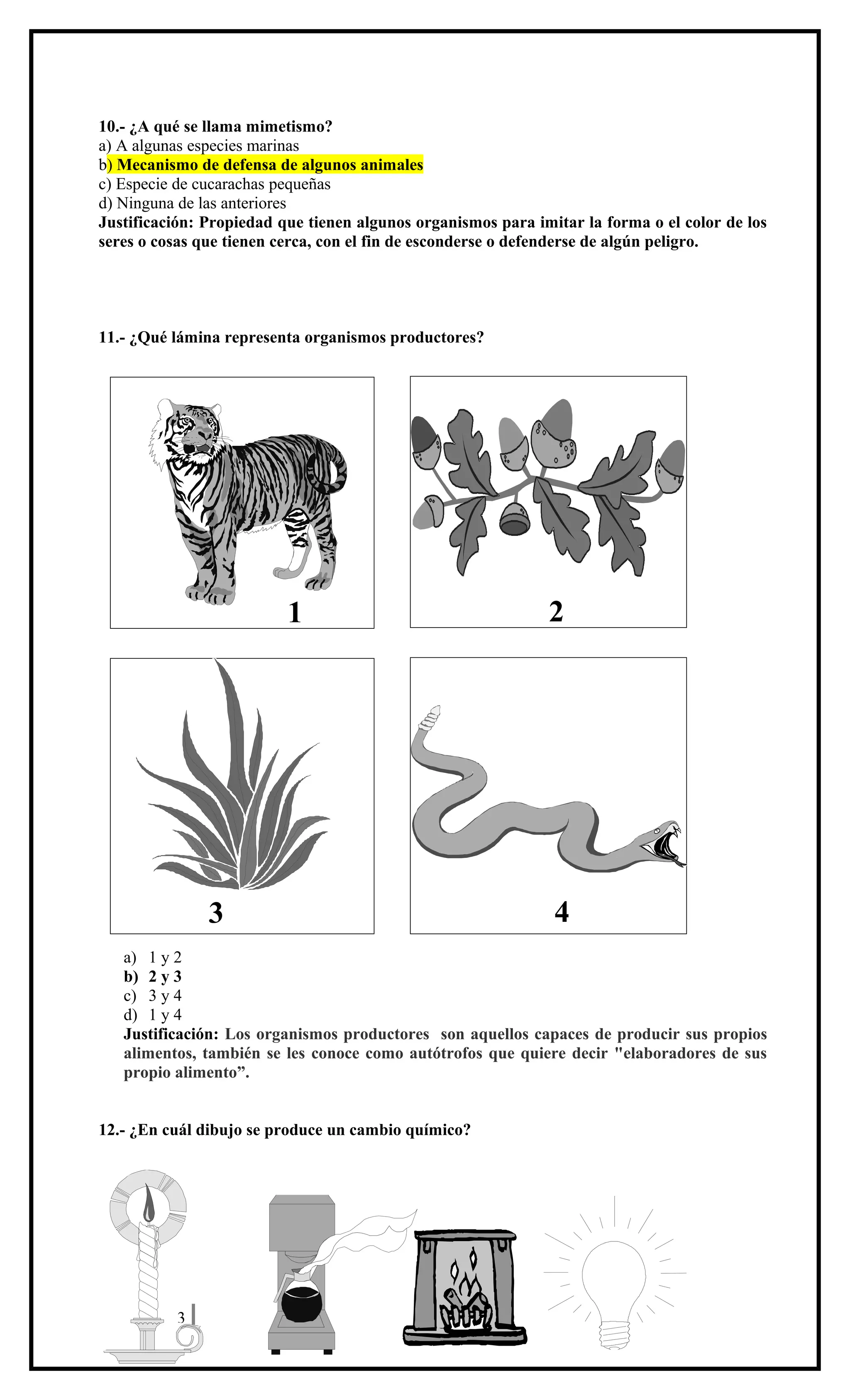 10.- ¿A qué se llama mimetismo?
a) A algunas especies marinas
b) Mecanismo de defensa de algunos animales
c) Especie de cucarachas pequeñas
d) Ninguna de las anteriores
Justificación: Propiedad que tienen algunos organismos para imitar la forma o el color de los
seres o cosas que tienen cerca, con el fin de esconderse o defenderse de algún peligro.

11.- ¿Qué lámina representa organismos productores?

1

3

2

4

a) 1 y 2
b) 2 y 3
c) 3 y 4
d) 1 y 4
Justificación: Los organismos productores son aquellos capaces de producir sus propios
alimentos, también se les conoce como autótrofos que quiere decir "elaboradores de sus
propio alimento”.
12.- ¿En cuál dibujo se produce un cambio químico?

3

 