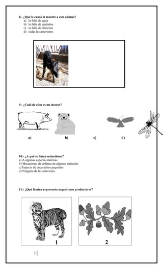 8.- ¿Qué le causó la muerte a este animal?
a) la falta de agua
b) la falta de cuidados
c) la falta de alimento
d) todas la...