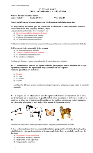 Escuela “Primitiva Echeverría”

2º  ENSAYO SIMCE
CIENCIAS NATURALES    8º AÑO BÁSICO
Nombre Alumna: valentina trittini
Curso: 8 año B                 Fecha: 07/10/13                         N° de lista: 23
Ennegrece la letra con la respuesta correcta. No olvides usar tu hoja de respuestas.
1.­  Seguramente  recuerdas  que   los  vertebrados  se  clasifican  en  cinco  categorías  llamadas
clases: Mamíferos, Aves, Reptiles, Anfibios y Peces.
Una característica observable de los mamíferos es:
a) En su primera edad se alimentan de leche.
b) Tienen el cuerpo cubierto de plumas.
c) Capturan el alimento con sus garras
d) Se alimentan solamente de huevos.
Justificación: Cada vertebrado tiene sus características, pero tienen el común que se alimentan de leche.
2.­ Una característica observable de los peces es:
a) Se alimentan de otros animales
b) Tienen el cuerpo cubierto de escamas
c) Se alimentan solamente de carne
d) Se arrastran por la tierra.
Justificación: Los peces nadan, no se alimentan de carne ni de otros animales.
3.­  El  mecanismo  de  captura  de  algunos  animales  para  proporcionarse  alimentación  es:  que
esperan su presa cerca del lugar al cual llegan y la capturan por sorpresa.
El animal que utiliza este método es:
a)
b)
c)
d)

El ratón
La rana
La lechuza
El pato

Justificación:  El  ratón  es  muy  cuidadoso  para  proporcionarse  alimento,  así  que  espera  el  momento
adecuado.

4.­  La  mayoría  de  las  adaptaciones  para  la  captura  del  alimento  se  encuentran  en  la  boca,
particularmente  en  la  dentadura.  Es  posible  inferir  si  un  mamífero  es  herbívoro,  carnívoro  u
omnívoro  al  observar  su  dentadura.  Recuerda  que  los  incisivos  sirven  para  cortar,  los  caninos
para desgarrar y los molares para moler. ¿Qué animal de éstos es carnívoro?

a) 

b) 

c)

d)

Justificación: Es el único animal que aparece en las imágenes que se alimenta de carne.
5.­  Las  sustancias  tienen  diversas  características  típicas  que  permiten   identificarlas: color, olor,
solubilidad,  etc.  estas  particularidades  se  llaman  propiedades.  Estas  propiedades  pueden  ser de
dos tipos:
a) Propiedades físicas y químicas
b) Propiedades plásticas y azucares
c) Propiedades físicas y plásticas
d) Ninguna de las anteriores.

1

 