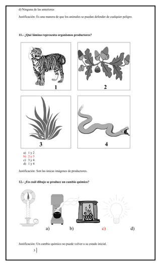 d) Ninguna de las anteriores
Justificación: Es una manera de que los animales se puedan defender de cualquier peligro.

11.- ¿Qué lámina representa organismos productores?

2

1

4

3
a)
b)
c)
d)

1y2
2y3
3y4
1y4

Justificación: Son las únicas imágenes de productores.
12.- ¿En cuál dibujo se produce un cambio químico?

a)

b)

c)

Justificación: Un cambio químico no puede volver a su estado inicial.
3

d)

 
