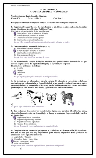 Escuela “Primitiva Echeverría”

2º ENSAYO SIMCE
CIENCIAS NATURALES 8º AÑO BÁSICO
Nombre Alumna: Tania González Riquelme
Curso: 8°A
Fecha: 22-10-13

N° de lista.12

Ennegrece la letra con la respuesta correcta. No olvides usar tu hoja de respuestas.
1.- Seguramente recuerdas que los vertebrados se clasifican en cinco categorías llamadas
clases: Mamíferos, Aves, Reptiles, Anfibios y Peces.
Una característica observable de los mamíferos es:
a) En su primera edad se alimentan de leche.
b) Tienen el cuerpo cubierto de plumas.
c) Capturan el alimento con sus garras
d) Se alimentan solamente de huevos.
Ya que ellos no pueden alimentarse por otras fuentes y solo esta su madre.
2.- Una característica observable de los peces es:
a) Se alimentan de otros animales
b) Tienen el cuerpo cubierto de escamas
c) Se alimentan solamente de carne
d) Se arrastran por la tierra.
Ya que sirve para identificar los tipos de peces.
3.- El mecanismo de captura de algunos animales para proporcionarse alimentación es: que
esperan su presa cerca del lugar al cual llegan y la capturan por sorpresa.
El animal que utiliza este método es:
a) El ratón
b) La rana
c) La lechuza
d) El pato
Ya que espera que su presa este cerca de este para cazarlo.
4.- La mayoría de las adaptaciones para la captura del alimento se encuentran en la boca,
particularmente en la dentadura. Es posible inferir si un mamífero es herbívoro, carnívoro u
omnívoro al observar su dentadura. Recuerda que los incisivos sirven para cortar, los caninos
para desgarrar y los molares para moler. ¿Qué animal de éstos es carnívoro?

a)

b)

c)

d)

Ya que el tigre come carne para alimentarse.
5.- Las sustancias tienen diversas características típicas que permiten identificarlas: color,
olor, solubilidad, etc. estas particularidades se llaman propiedades. Estas propiedades pueden
ser de dos tipos:
a) Propiedades físicas y químicas
b) Propiedades plásticas y azucares
c) Propiedades físicas y plásticas
d) Ninguna de las anteriores.
Ya que depende de cómo sea la sustancia para clasificarla.
6.- Las proteínas son sustancias que ayudan al crecimiento y a la reparación del organismo.
Por ello se dice que son muy importantes para nuestro organismo. Estas proteínas se
encuentran en los siguientes alimentos:
a) Jugo, frutas y helados
b) Pescados, frutas y papas fritas
c) carnes y pescados y leche
d) todas las anteriores
Porque todos estos alimentos le proporcionan proteínas a el organismo.
1

 